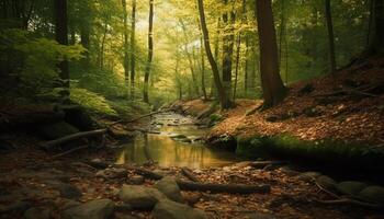 tranquille scène de écoulement l'eau dans l'automne forêt région sauvage zone généré par ai photo