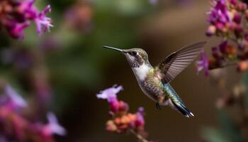 planant roux colibri se répand iridescent ailes près bleu fleur généré par ai photo