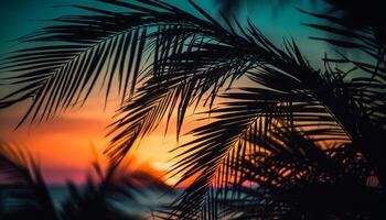 silhouette de paume arbre retour allumé par vibrant le coucher du soleil ciel généré par ai photo