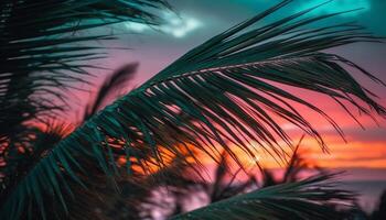 tropical le coucher du soleil paume des arbres, noix de coco, et la nature beauté dans mouvement généré par ai photo