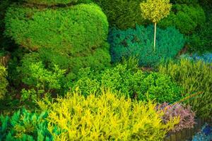 arrière-cour jardin fermer photo