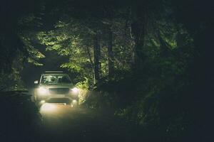 nuit conduire creux le forêt photo