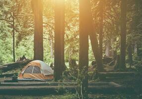 tente camping dans le forêt photo