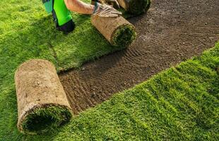 installation Frais Naturel herbe gazons de une rouleau photo