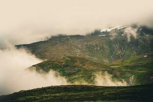 brumeux norvégien montagnes photo