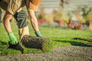 jardinier pose sortir herbe photo