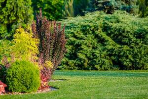 arrière-cour jardin endroit photo