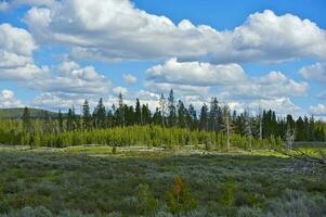 Wyoming paysage vue photo