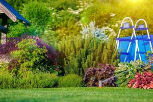 magnifique arrière-cour jardin photo