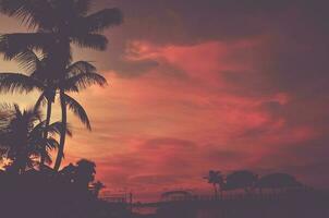 scénique tropical plage le coucher du soleil photo