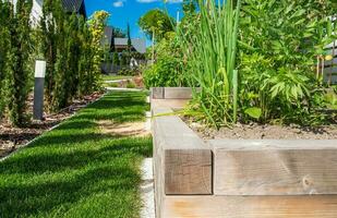 croissance des légumes dans arrière-cour jardin photo