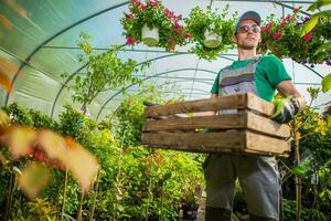 jardinier serre travail photo