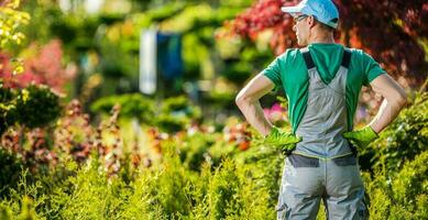 arrière-cour jardin emploi photo