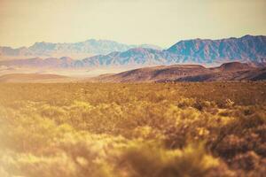 Californie mojave désert brut paysage photo