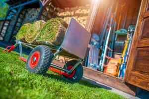 herbe gazons sur une Chariot photo