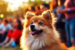 chien dans réel vie, content moment avec animal de compagnie ai génératif photo