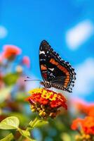 portrait magnifique papillon sur le fleur ai génératif photo