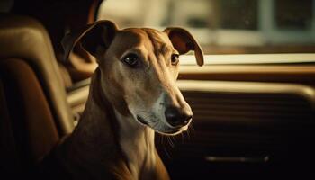 mignonne de race terrier séance dans voiture fenêtre généré par ai photo