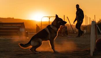 silhouette de fidèle canin en marchant dans le coucher du soleil généré par ai photo