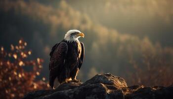 majestueux chauve Aigle se percher sur arbre branche généré par ai photo