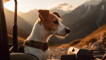 mignonne chiot séance dans le Soleil en plein air généré par ai photo