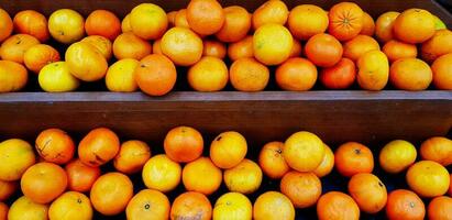Frais Orange sur marron en bois étagère pour vente à biologique fruit marché ou supermarché. récolte, régime nourriture et agriculture produit concept photo