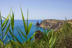 Paysage marin près du cap fiolent à sévastopol en crimée photo