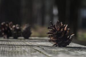Cône de pin brun sur une planche de bois sombre photo