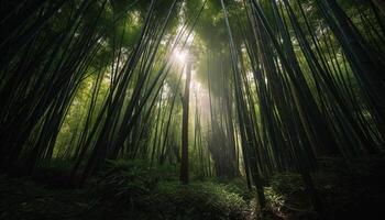 tranquille bambou bosquet, été croissance, vibrant beauté généré par ai photo