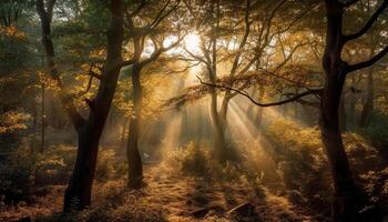 brillant l'automne feuillage lumières en haut mystérieux forêt chemin généré par ai photo