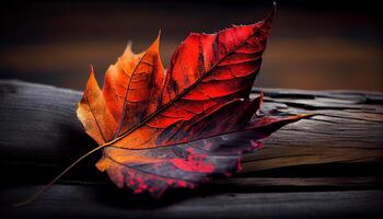 vibrant couleurs de l'automne feuilles sur bois planche généré par ai photo