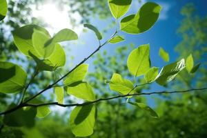 Stock foto de de bonne heure été bleu ciel peu feuilles génératif ai photo