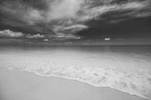 scène de plage tranquille en noir et blanc. paysage spectaculaire de la côte de l'île, ciel sombre avec de l'eau calme. côte tropicale monochrome, sable doux, bord de mer extérieur naturel. vacances de voyage d'été abstrait de luxe photo