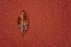feuille brune en automne photo