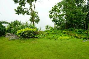 verdure vue de poumon, une décalé village de est sikkim photo