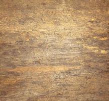Texture du bois d'écorce comme arrière-plan naturel