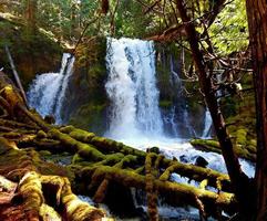printemps à downing creek falls cascade range près de marion forks ou photo