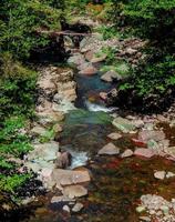 scène d'été sur la rivière santiam moyen ou photo