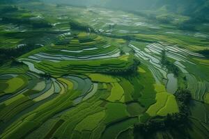 aérien vue de vert paddy riz terrasses génératif ai photo