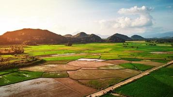 Vue aérienne de la rizière avec colline calcaire photo