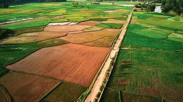 Vue aérienne de la rizière à Sumatera Barat Indonésie photo