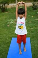 asiatique intelligent enfant Faire yoga pose dans le société parc Extérieur, enfants yoga pose. le peu garçon Faire yoga et méditation exercer. photo