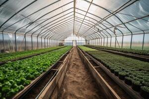 vue de une grand serre de à l'intérieur pour légume production établi avec génératif ai technologie. photo