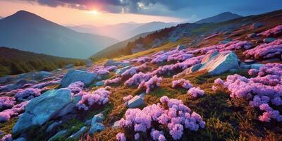 ai généré. ai génératif. magnifique rhododendron fleurs plus de le coucher du soleil montagnes champ paysage. graphique art photo