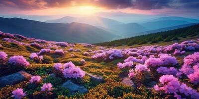 ai généré. ai génératif. magnifique rhododendron fleurs plus de le coucher du soleil montagnes champ paysage. graphique art photo