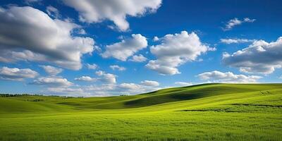 ai généré. ai génératif. photo réaliste illustration de vert champ herbe collines paysage. graphique art