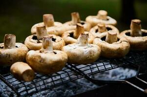 sélectif concentrer brut chevronné mariné portobello champignons grillé sur barbecue gril dans le ouvert air. barbecue un barbecue photo