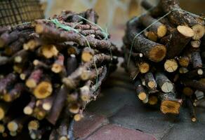 encore la vie avec bois de chauffage et arbre branches pour chauffage ou barbecue fête photo