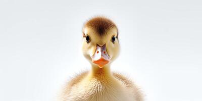 ai généré. ai génératif. photo réaliste illustration de bébé peu canard visage portrait. graphique art