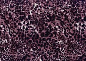 luxe léopard Contexte. animal imprimer. guépard fourrure. jaguar taches. neige léopard peau photo
